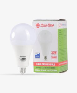 Bóng đèn LED BULB tròn 30W Rạng Đông - TR100N1/30W.H