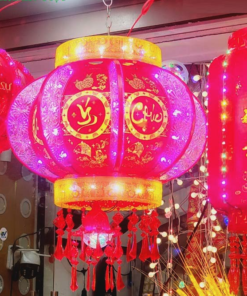 Lồng Đèn 3D-50cm trang trí Tết năm Ất Tỵ 2025 5 Long Den 3D 50cm trang tri Tet nam Giap Thin 2024
